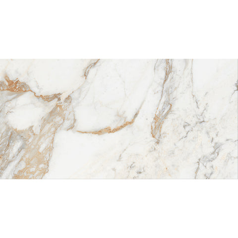 ICON GOLD 60x120 Grey Polished Wall and Floor Tiles PALLET DEAL 43.2 M2