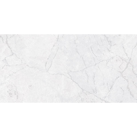 Winter 30 x 60cm Ice Matt Carving Wall Tiles